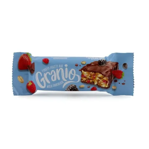 Granio Chocolate and Forest Fruits Bar 40gr